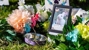 El cementerio La Bermeja habilita