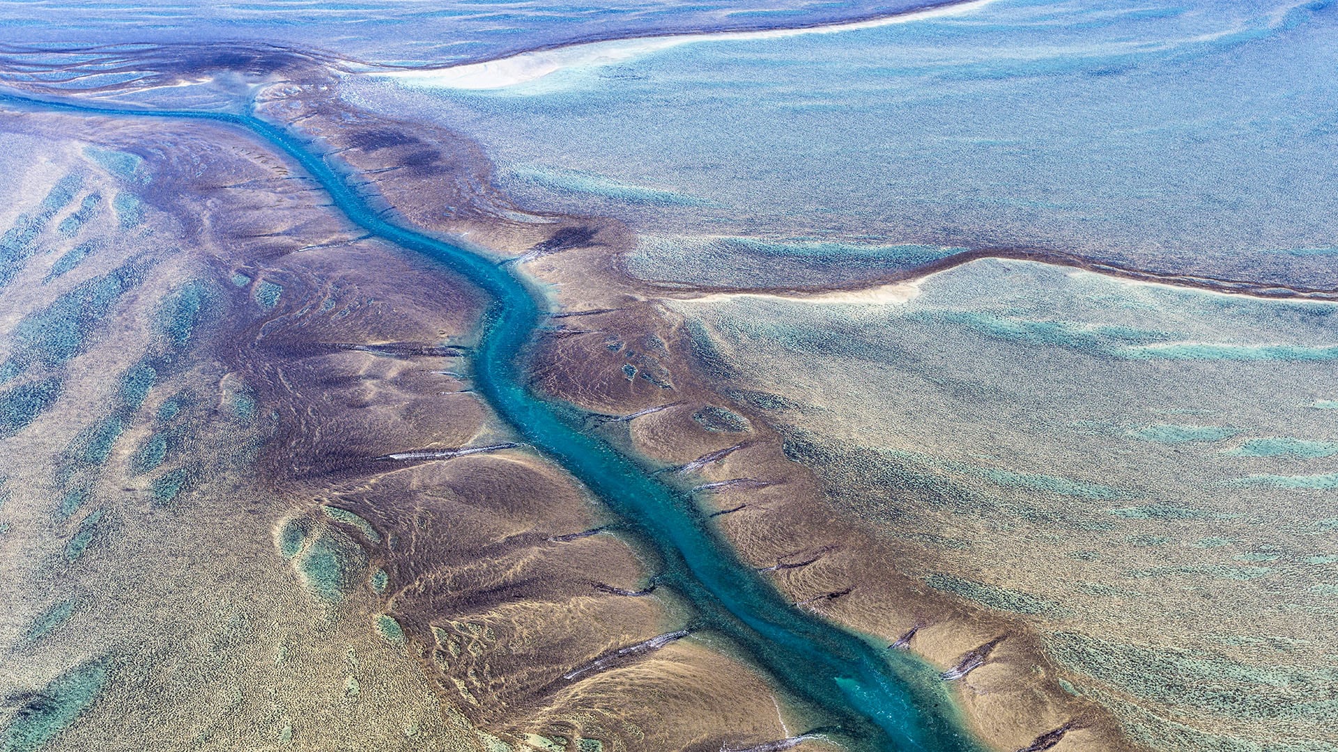 Montgomery Reef: el singular arrecife australiano que emerge y desaparece cada día por el efecto de las mareas extremas