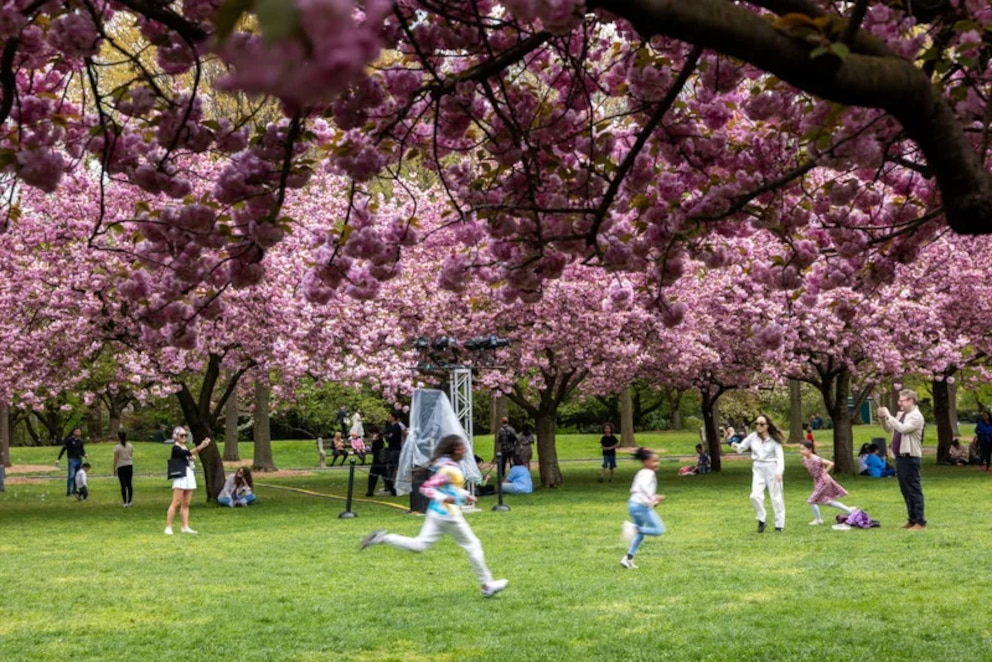 GLQY7ZU24JEZ7MMFRSKCANVFBM