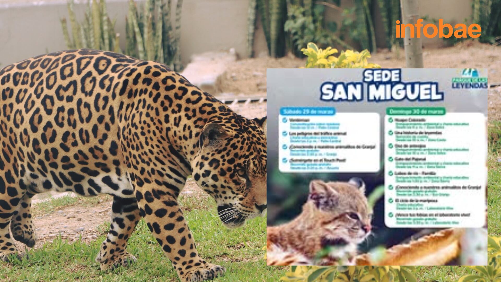 Actividades en la Sede San Miguel