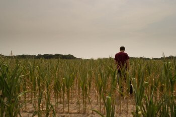 De acuerdo con el último