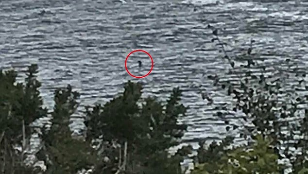 Otra imagen del supuesto monstruo en el Lago Ness