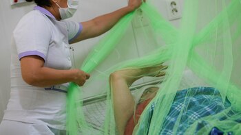 La Importancia de combatir el