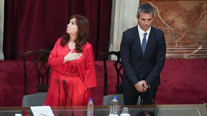 Martín Menem cruzó a Cristina Kirchner: “¿No será momento de dar un paso al costado para siempre?”