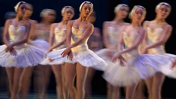 Este mes se presentará la