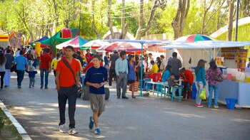 Debido a la crisis interna