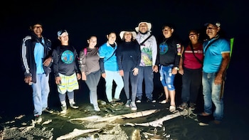 La labor de conservación en Bobalito ha permitido identificar tres especies de tortugas anidando y una cuarta en seguimiento - crédito Corpouraba