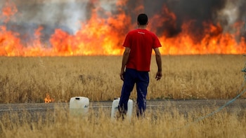 Hasta 3.500 Є por hectárea: así serán las ayudas del Gobierno a los agricultores afectados por los incendios