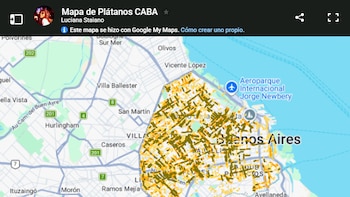¿La pelusa de los plátanos te complica la primavera? Un mapa revela las calles de Buenos Aires donde más se acumula
