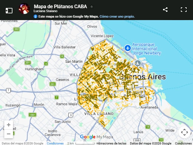 Crearon un mapa para ubicar y evitar las cuadras con más plátanos, cuya pelusa amarilla puede provocar estornudos e irritación en primavera (FAUBA)