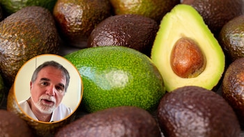 Javier Quintero, psiquiatra: “Estas son las cuatro vitaminas más importantes para tu cerebro”