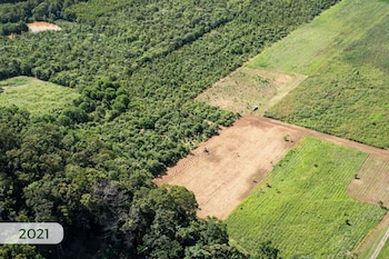 Fotografía aérea de campos verdes, un terreno despejado con un tractor y una zona boscosa con una etiqueta que dice 2021