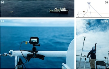 El proyecto, liderado por The Ocean Cleanup desde 2019, ha escaneado decenas de miles de kilómetros cuadrados de superficie marina (Crédito: Environmental Research Communications (2026). DOI: 10.1088/2515-7620/ae8152)