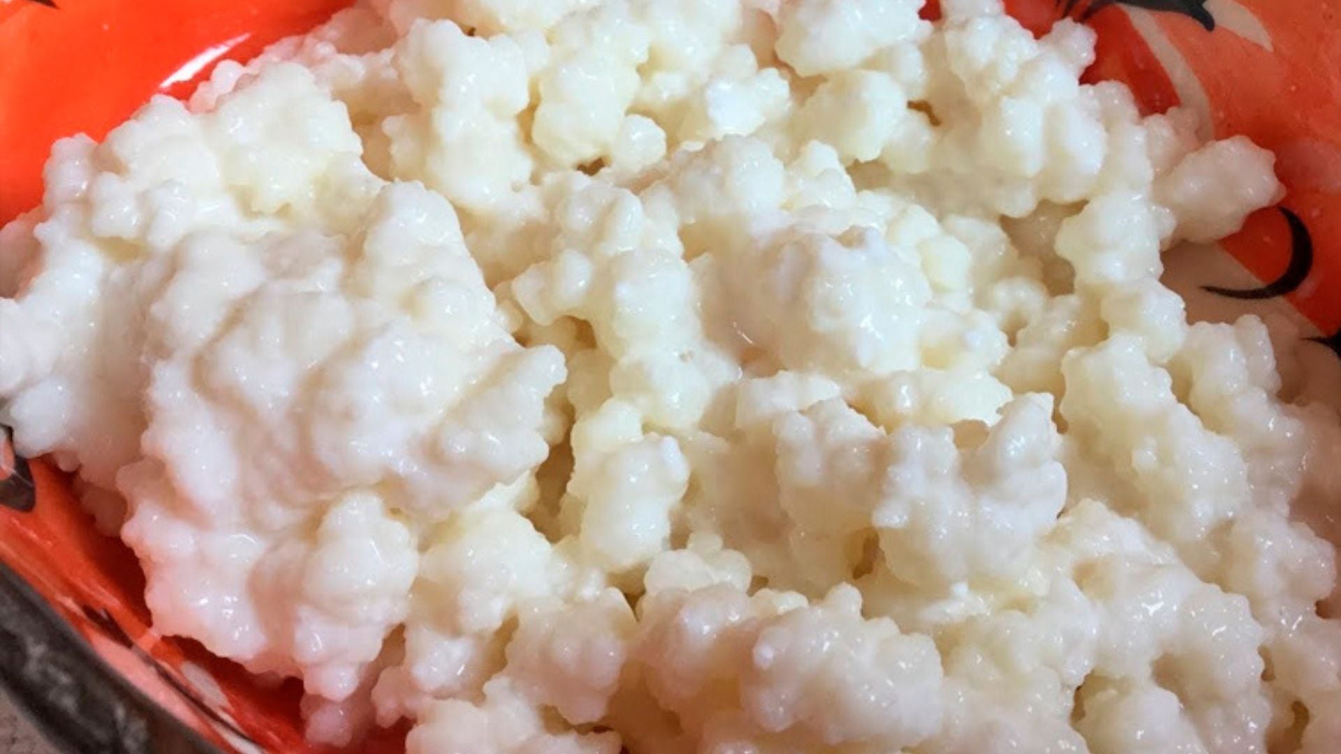 Estos son los beneficios de los búlgaros de leche (Gobierno de México)