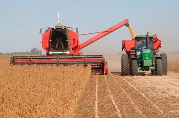 EFE/Gustavo Ércole/Archivo