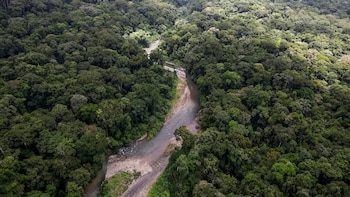 Panamá detuvo a 21 colombianos por minería en Darién (Archivo, EFE)