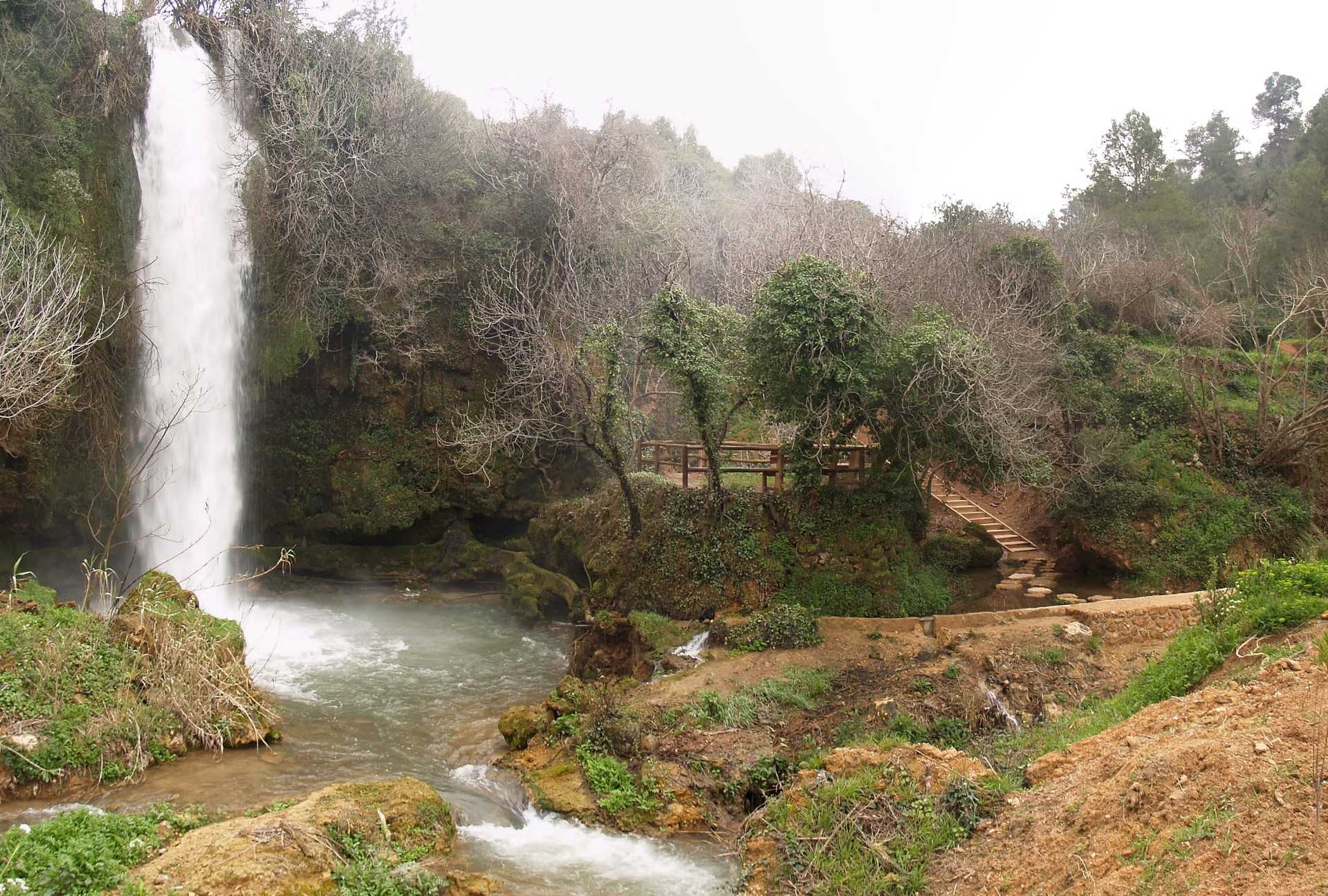 Helechos y árboles de ribera rodean la cascada, creando un entorno ideal para paseos tranquilos (Comunitat Valenciana)