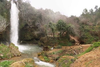 El recorrido discurre por pasarelas y puentes que atraviesan un barranco de microclima húmedo.