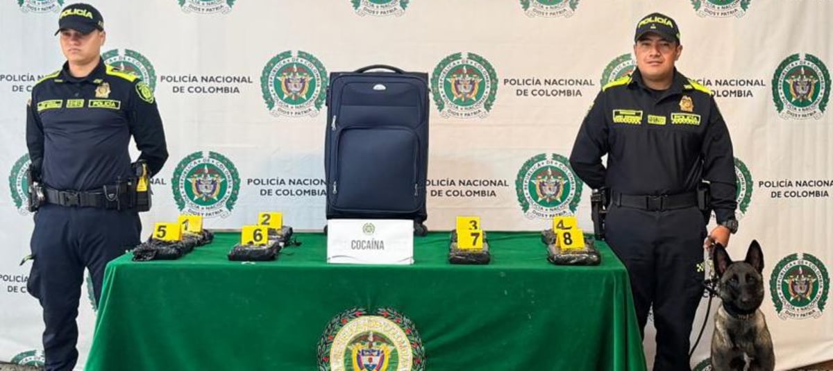 Un equipaje abandonado con paquetes cubiertos en vinil fue detectado por agentes con apoyo canino durante un control de equipajes, evitando así que la sustancia llegara al extranjero, según fuentes oficiales - crédito Policía Nacional