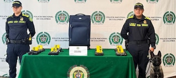 Un equipaje abandonado con paquetes cubiertos en vinil fue detectado por agentes con apoyo canino durante un control de equipajes, evitando así que la sustancia llegara al extranjero, según fuentes oficiales - crédito Policía Nacional