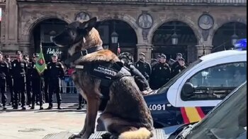 Cleo se sentaba en la