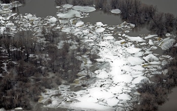 Científicos confirman que las emisiones humanas de dióxido de carbono ya están desviando el clima de su curso natural afectando el futuro del cambio climático
( EFE/TANNEN MAURY/Archivo)