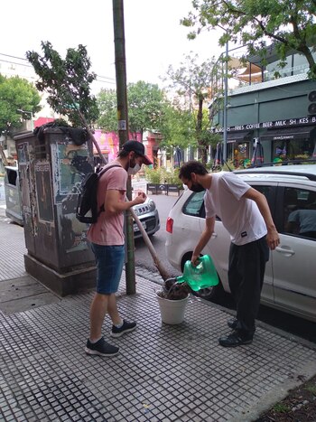 Álvaro Zapiola es el arquitecto