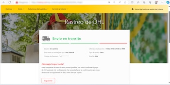 Web fraudulenta asociada al caso