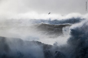 Natural History Museum