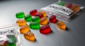 Varias gomitas verdes, rojas y naranjas dispersas sobre una superficie metálica gris. Dos bolsas de plástico selladas con gomitas y el texto 'EVIDENCE' visible.