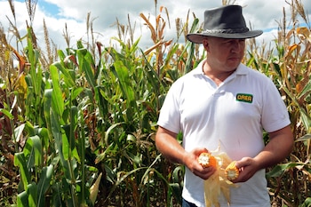 Los grupos armados se disfrazan