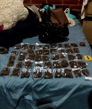 Los agentes de la Policía