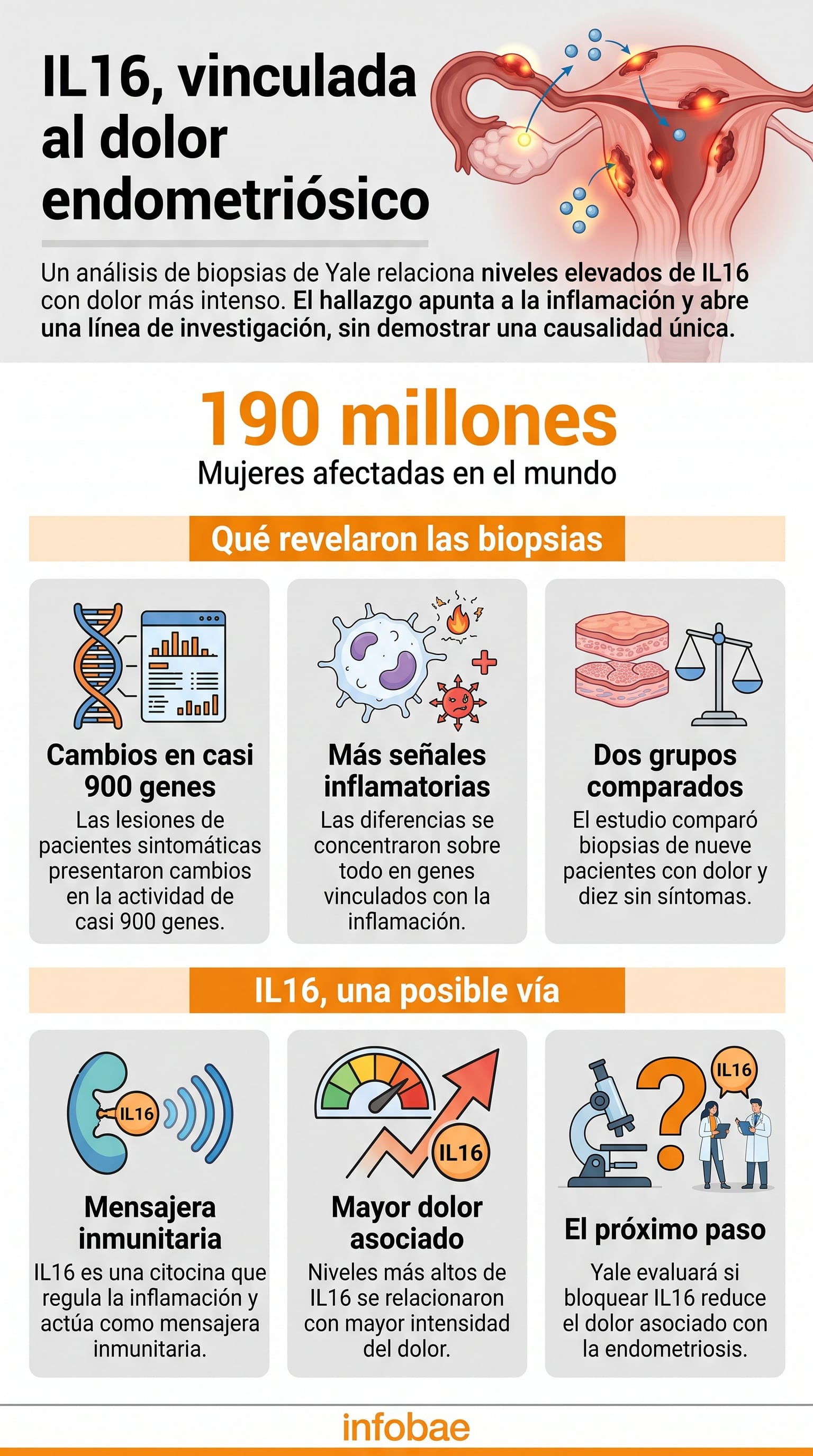 El estudio detectó cambios en la actividad de casi novecientos genes en las muestras analizadas (Imagen Ilustrativa Infobae)