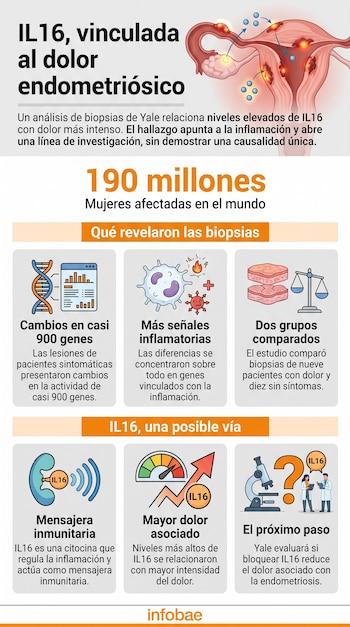 Infografía sobre el dolor endometriósico con ilustraciones del aparato reproductor femenino, gráficos genéticos e íconos explicativos.