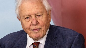 Attenborough enfatiza en un nuevo