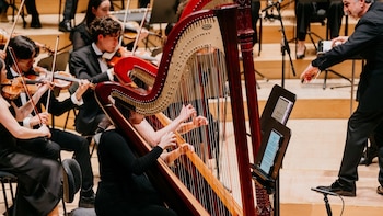 Compromís pide en el Congreso