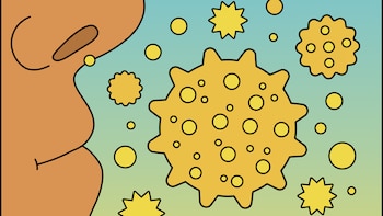 Lo que las alergias estacionales le hacen a tu cuerpo