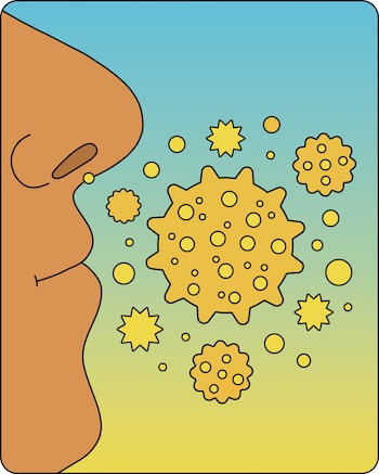 Imagen GNIW4JPOPBEKDPWAX7YTFQ6XEA