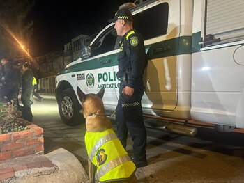 Encuentran artefacto explosivo en Teusaquillo