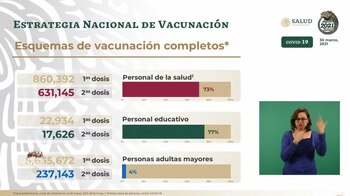 Sistema de vacunación hasta el