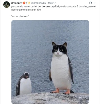 Memes Corona Capital
