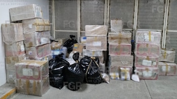 FGR incinera más de 400 kilos de narcóticos en Edomex