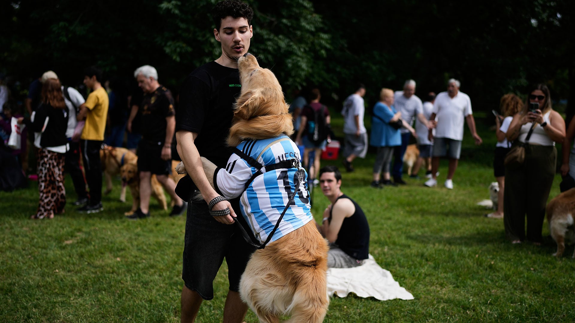 El evento congregó a familias y amantes de los perros de todo el país, consolidando a Argentina como referente mundial de encuentros caninos (AP Photo/Natacha Pisarenko)