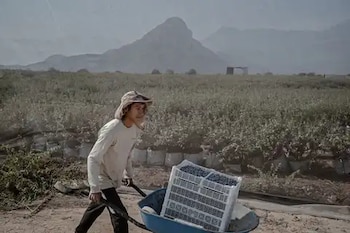 El sueño de Carlos Gereda,