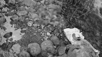 Encontraron cadáver de bebé en