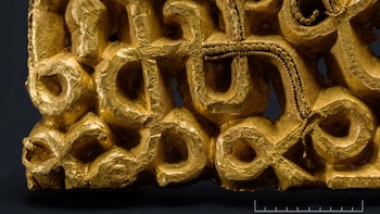 Un hombre descubre un tesoro de hace 1.500 años bajo un árbol: una vaina de oro de una espada de la Edad de Hierro