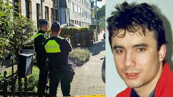 Descubren durante la reforma de