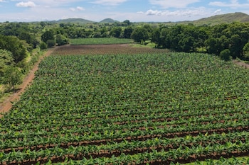 Los suelos saludables constituyen la primera barrera natural para proteger el agua. (Cortesía)
