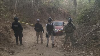 Por robo de carros a