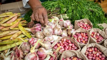 Este domingo se conmemora el